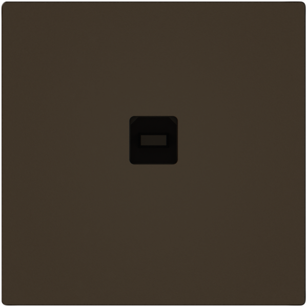 Interfaccia dati USB KNX EDIZIO.liv SNAPFIX® presa USB tipo B ma 