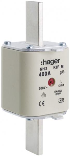 Fusibile HPC Hager DIN2c 500VAC 63A gG/gL segnalatore doppio antiruggine 