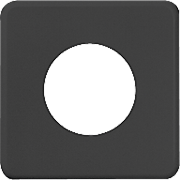 Plaque de recouvrement I 43mm noir 