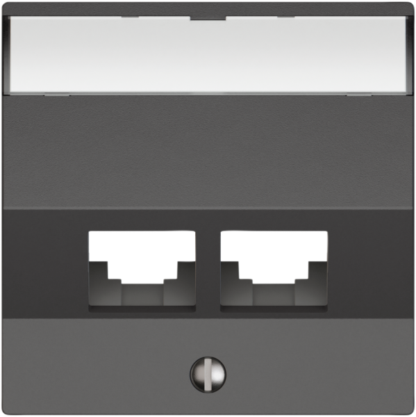 Kit di montaggio EDIZIO.liv EASYNET S-One SNAPFIX® inclinato per 2×RJ45 grs 