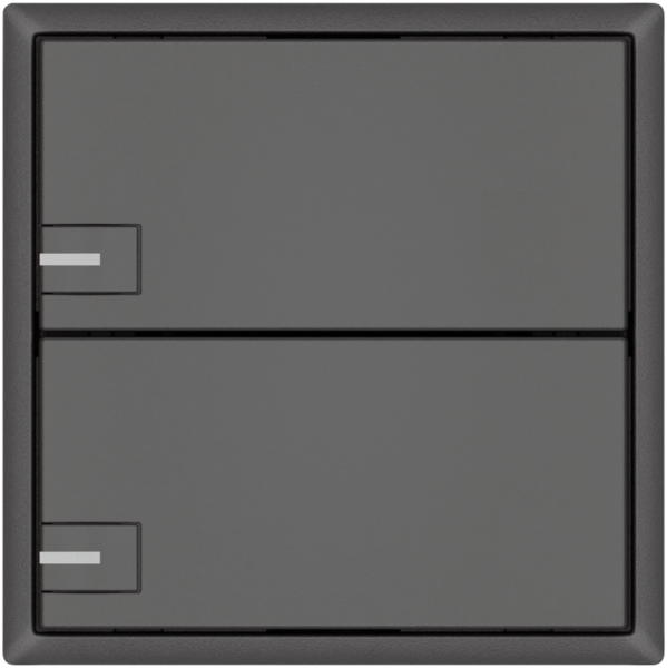 Pulsante KNX RGB EDIZIO.liv SNAPFIX® sensore temp.RGB-LED 2× com.1T grs 