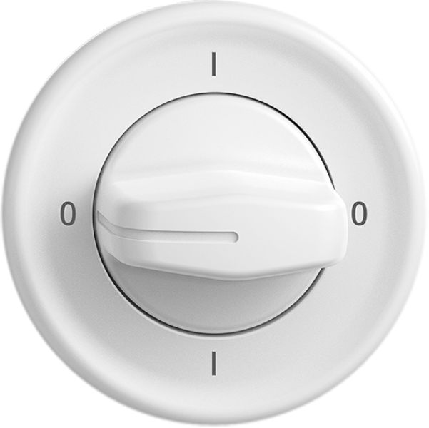 Interrupteur rot.ENC STANDARDdue 0/2L blanc, a.manette 