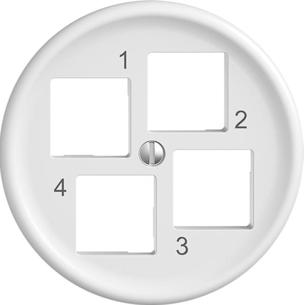 Kit de montage STANDARDdue EASYNET S-One SNAPFIX® droit pour 4×RJ45 bc 