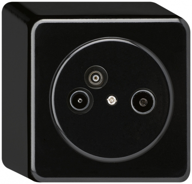 Presa d'antenna AP TV-R-Dati basico 2GHz 4dB nero 
