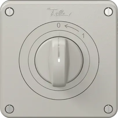 Contact pivotant NEVO N.CO avec manette, KS, 0 <- 1, gris clair 