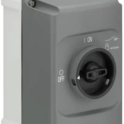 Scatola AP ABB IB132-G, per MS116/132, chiudibile, IP65, grigio/nero 