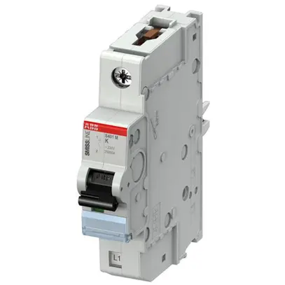 Disgiuntore SMISSLINE TP S 1×20A K 25kA 