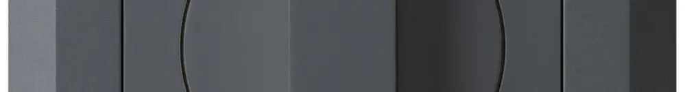 UP-SchwenkTaster 1->0<-2 anthrazit kallysto.line mit Drehgriff 