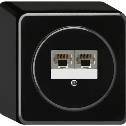 Boîte de raccordement AP basico 2×RJ45s noir parallèle 
