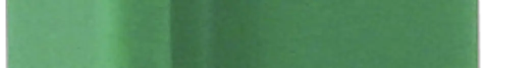 Clip de codage R&M Snap-in vert 