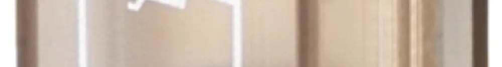 Filtro RC WM RIM-I 4 110VUC VAR resistenza di dispersione 