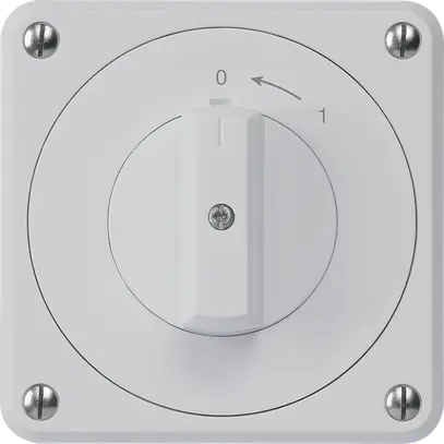 Contatto rotativo INC robusto IP55 grigio 2P per combinazione 