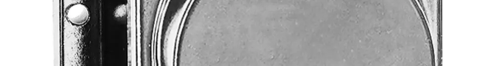 Scatola di derivazione AP bagnato 15A 2.5mm² 500V 3LNPE Al pallin. 