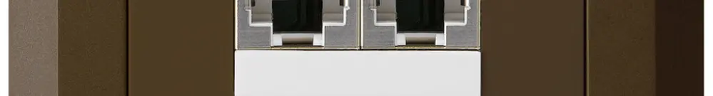 Boîte ENC kallysto.line 2×RJ45s brun parallèle 
