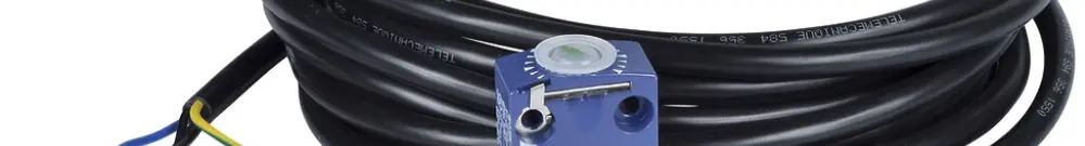 Interruttore di posizione Schneider electric 1NO+1NC con cavo 1 m brusco 