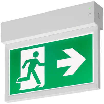 Lampada emergenza e indicazione LED P-LIGHT 27 4W 32lm 6000K IP20 bianco 