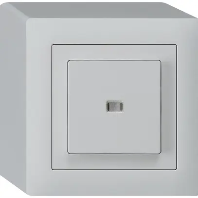 Contact à poussoir lumineux AP kallysto AR/2L gris clair 