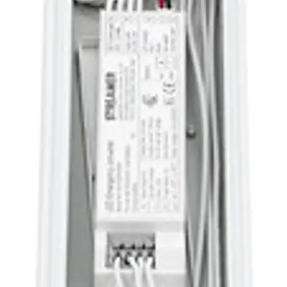 Notleuchte RTS 1.5M 50W 8WIRE WD DALI 12W 3h weiss 