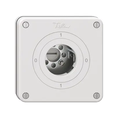 Interruttore rotativo NUPU NEVO, 0/1L, senza cilindro, KS, 0-1-0-1, bianco 