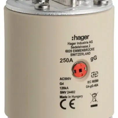 Fusibile HPC Hager SEV G4 500V AC 250A gG indicatore centrale 