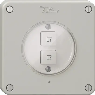 Pulsante scena 2 scene verticale/2T NEVO Wiser N.CO grigio chiaro 