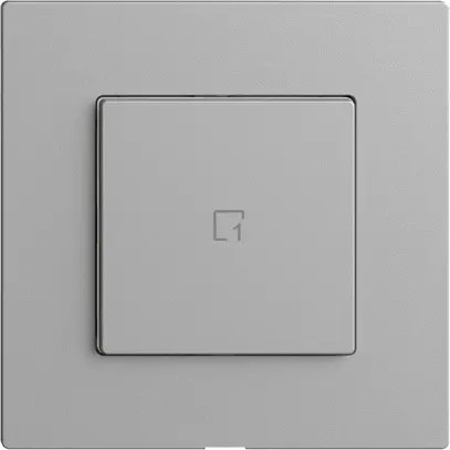 Poussoir scène 1 scène/1T WLAN Edue Wiser silver 