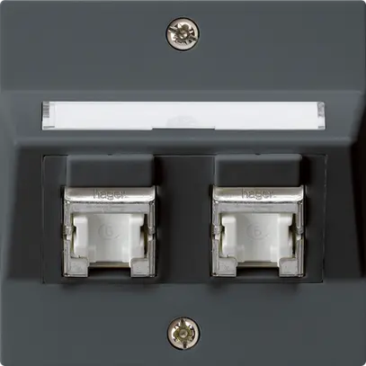 Prise ENC kallysto A cat.6 2RJ45/s anthracite 