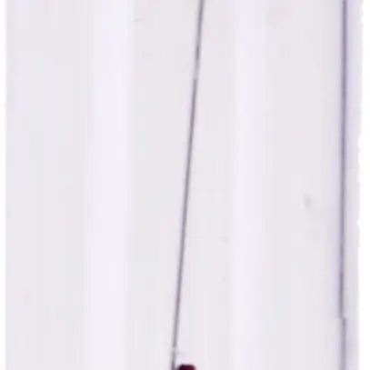 Lampe soffite à incandescence 7.5×31mm 24V3W clair 