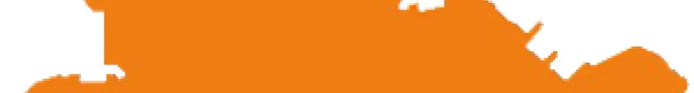 Abschluss-Zwischenplatte WAGO orange 