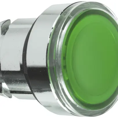 Testa motrice Schneider Electric pulsante tasto verde 