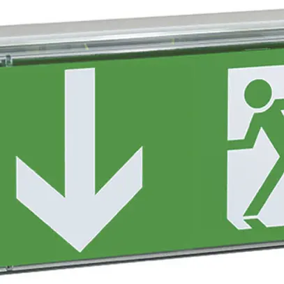 Lampada di emergenza thuba RZ Ex tipo Exit N calotta inclusa PU 