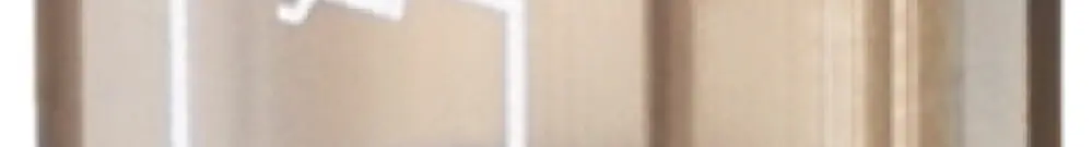 Filtro RC WM RIM-I 4 24VUC VAR resistenza di dispersione 