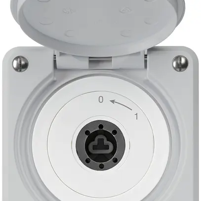 Contact pivotant à clé ENC robusto IP55 gris avec clapet sans cylindre 2P 