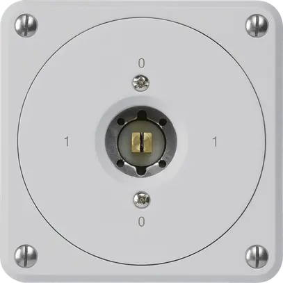 Interruttore a chiave quadrata INC robusto senza coperchio 0/2P grigio combi 