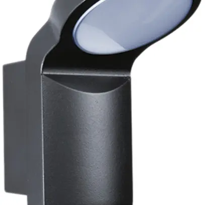 Proiettore LED ESYLUX OL 100 LED 5K, 12W 5500K, nero 
