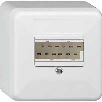 Scatola di raccordo AP basico 2×TT83 bianco 62×62×36mm 
