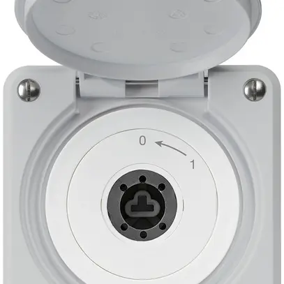 Contact pivotant à clé ENC robusto IP55 gris avec clapet sans cylindre 1P 