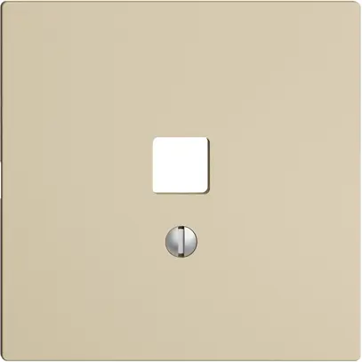 Kit frontale EDIZIOdue vanille 60×60mm per interfaccia USB 