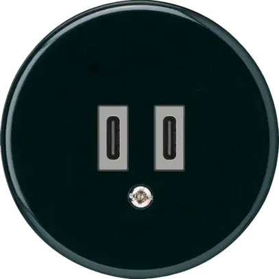 Presa di carica USB Hager basico C-C 20W 5V nero 