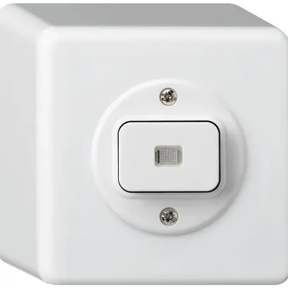 Interrupteur AP basico lumineux 3/2L blanc 