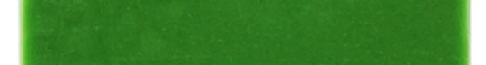 Coperchio antipolvere Dätwyler verde 