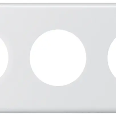 Plaque de recouvrement basico 3×1 3×43mm blanc 