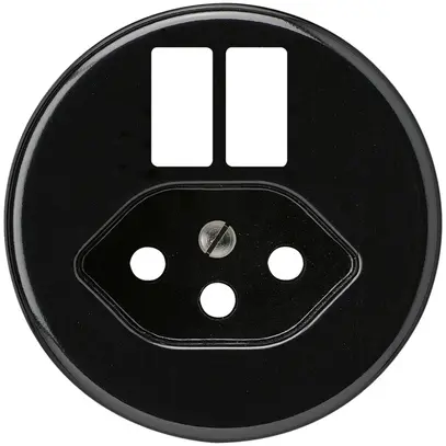 Frontscheibe basico H f.Steckdose 2×USB & Typ 13 schwarz 