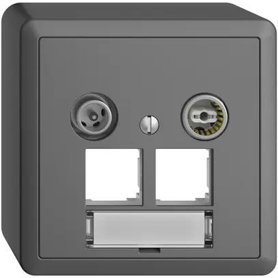 Prise multimédia AP EDIZIOdue FX.54 EASYNET 11dB, p.2×RJ45 S-One, gris foncé 