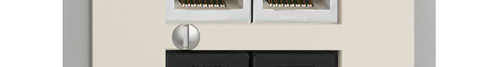 Scatola INS 4×RJ45 2×u/2×s EDIZIOdue crema, R&M swissline NT 2ab 