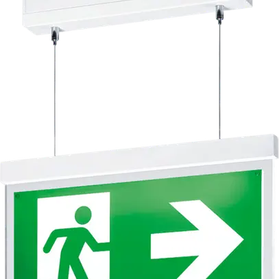 Lampe pour voie de secours suspendue VOYAGER STYLE 150 MS-WF15 E3T SM-S WH 