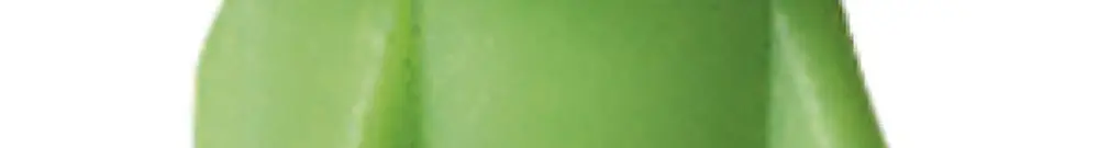 Bouchon de fermeture M20 vert Combi-Plus universel 