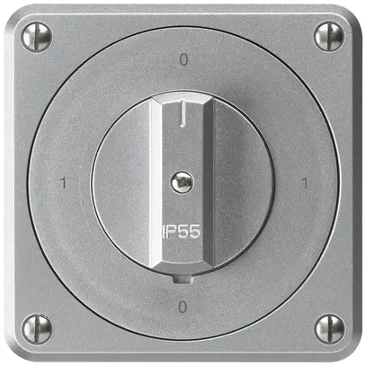 UP-Drehschalter robusto IP55 S0/2P aluminium für Kombination 