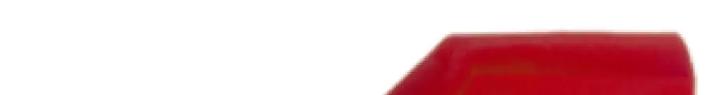 Embout de câble jumelé isolé 2×10mm² 14mm type DIN rouge 