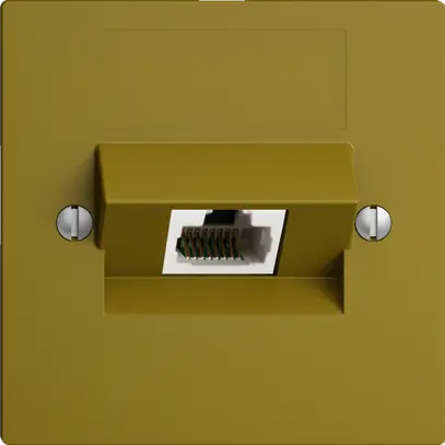 Prise ENC 1×RJ45/u 4P ITplus EDIZIOdue olive 